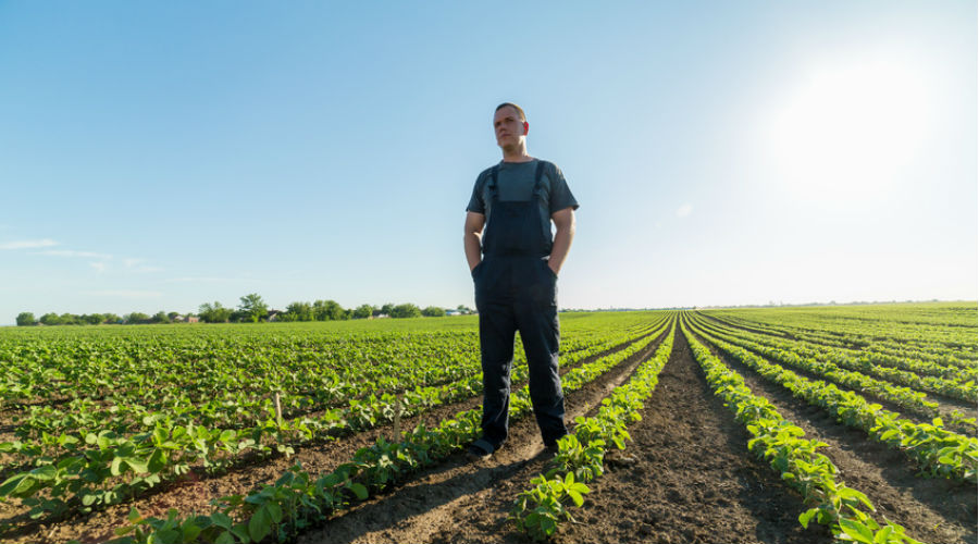 Ces agriculteurs racontent l'impact des pesticides sur leur santé