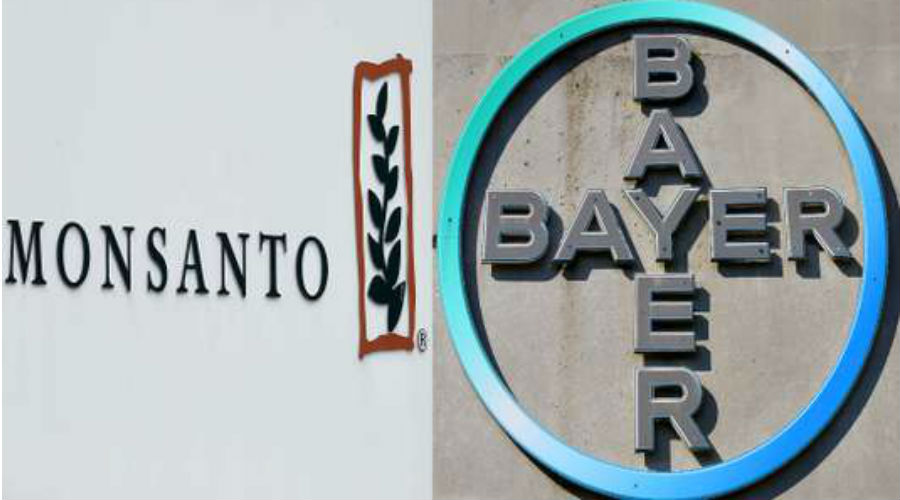 5 choses à savoir sur la mégafusion Bayer-Monsanto