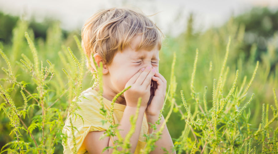 enfant allergique au pollen qui éternue dans un champ