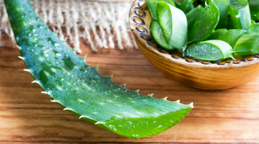 Consuming fresh aloe vera leaves is not without risk ...
