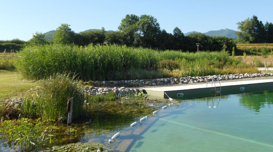 Bassin de baignade biologique de Roquebillière