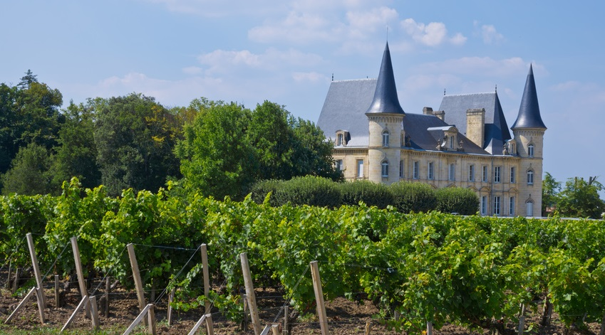Château bordelais avec vignes
