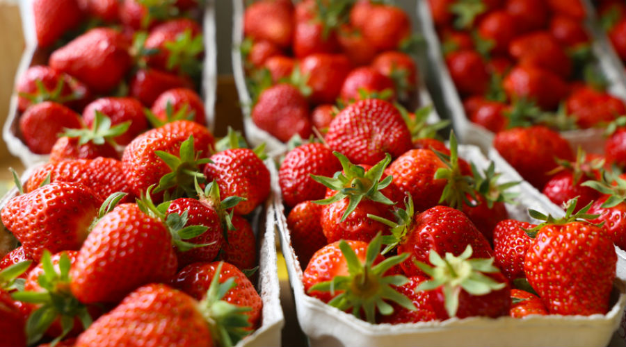 De fausses fraises françaises épinglées par la répression des fraudes