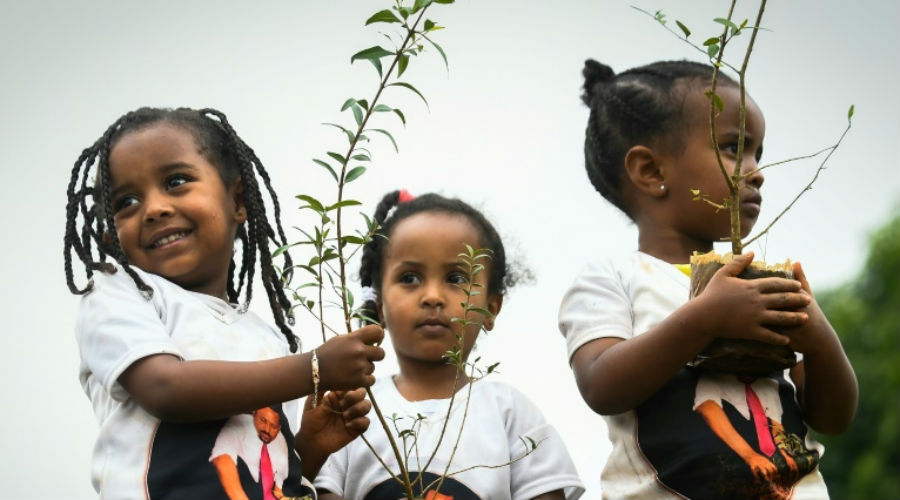 Face au réchauffement climatique, l'Éthiopie plante 4 milliards d’arbres et dépasse un record mondial