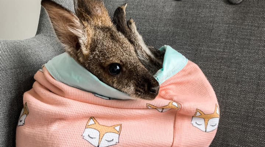 poche tricot kangourou