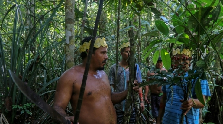 remèdes naturel contre covid-19 des indigènes d'Amazonie