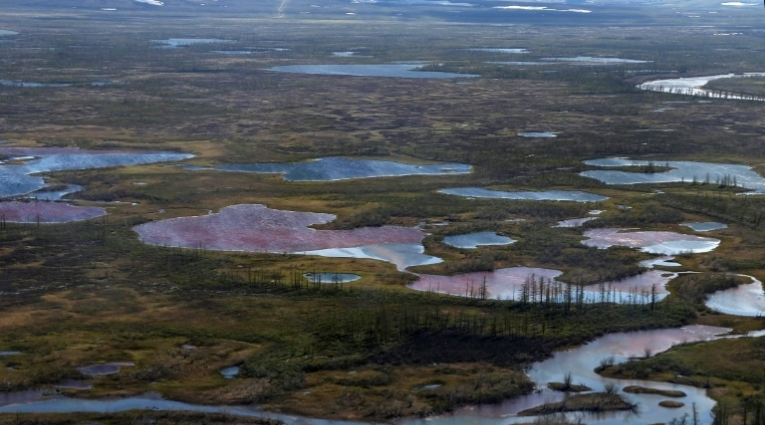 les barrages flottants n'ont pas arrêté la pollution en arctique russe