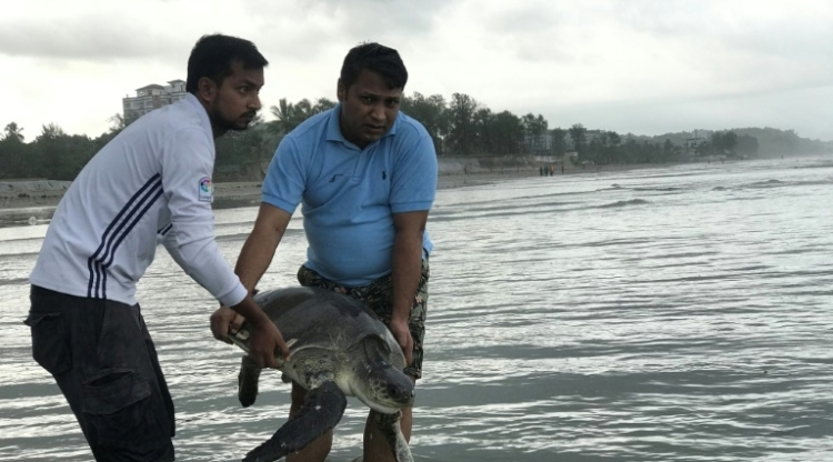 Bangladesh : une course pour sauver des tortues prises dans une marée géante de plastiques