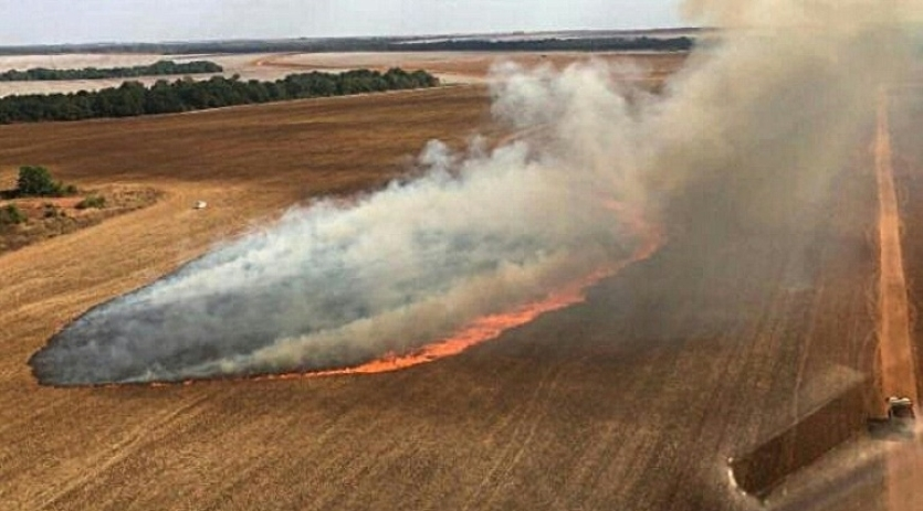 Brésil : les pompiers dans l'enfer des incendies au Pantanal