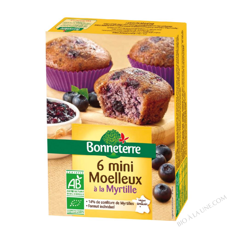 6 mini moelleux à la myrtille