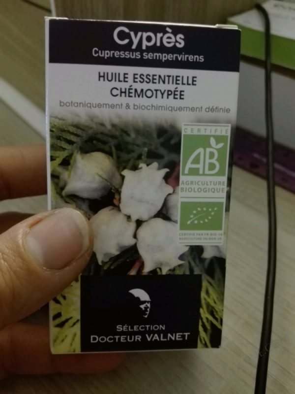 HUILE ESSENTIELLE CYPRES - 10ml HUILE ESSENTIELLE CYPRES - 10ml