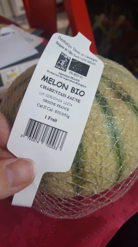 MELON CHARENTAIS - 1FRUIT MELON CHARENTAIS - 1FRUIT