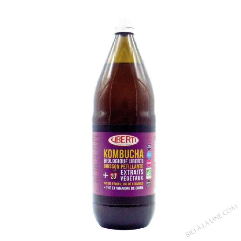 Kombucha aux extraits végétaux Kombucha aux extraits végétaux