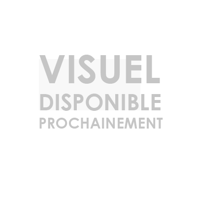 FLOCONS 5 CÉRÉALES BIO -5KG