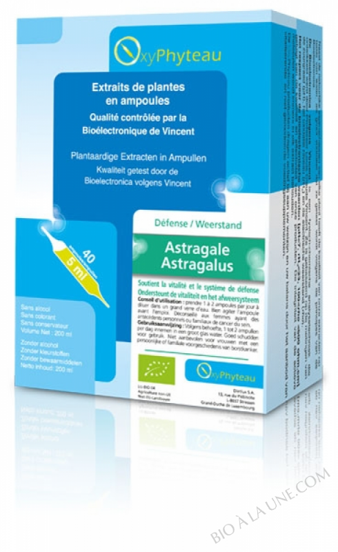 ASTRAGALE - AMPOULES (40 X 5ML) ASTRAGALE - AMPOULES (40 X 5ML)