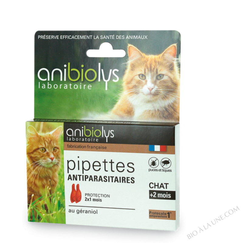 Pipettes antiparasitaire Chat