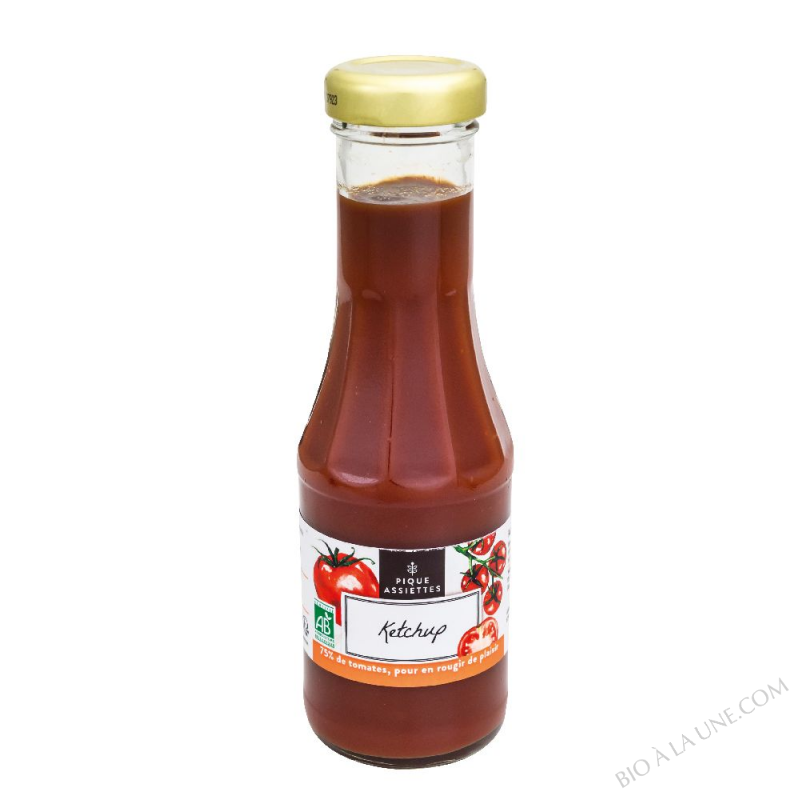 Ketchup BIO 285G