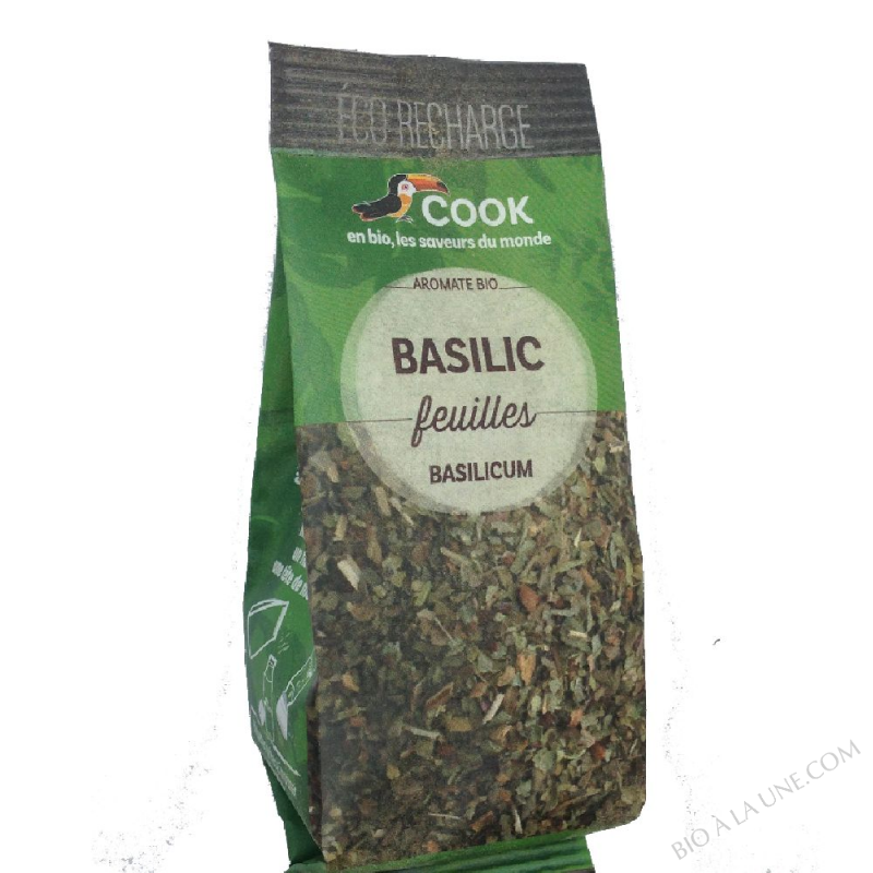 Basilic Basilic