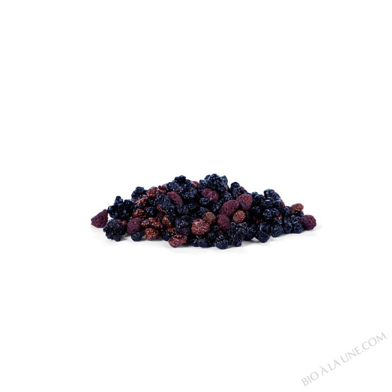 Mix Superfruits rouges des Alpes Dinariques séchés | Sac 1 kg