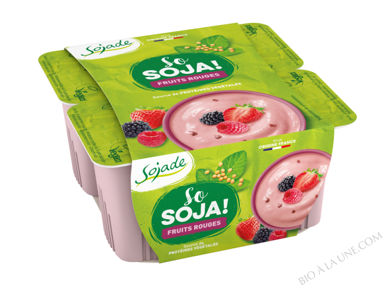 FRUITS ROUGES 4X100G SOJADE