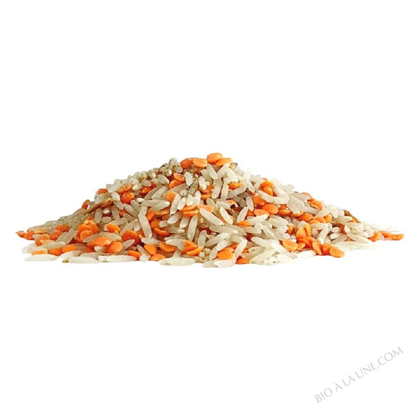 Dal de riz et lentilles bio - 2kg Dal de riz et lentilles bio - 2kg
