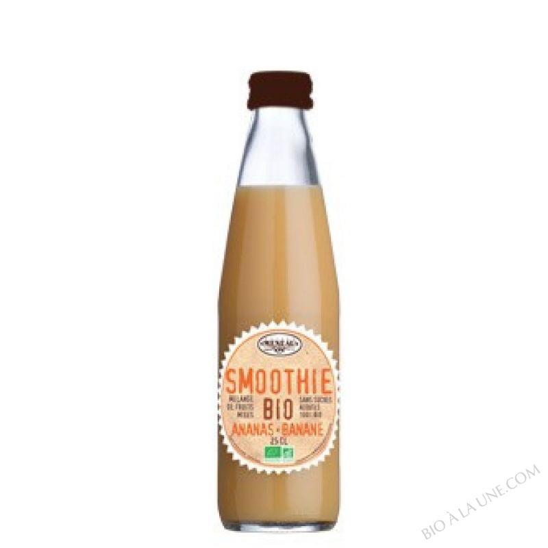 SMOOTHIE ANANAS/BANANE 25CL DESTINA SMOOTHIE ANANAS/BANANE 25CL DESTINA