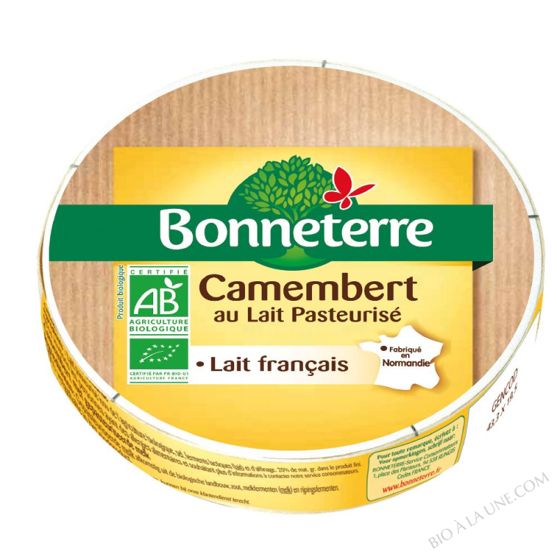 Camembert au lait pasteurise 250g