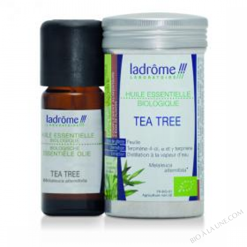 Huile essentielle Tea tree 10ml