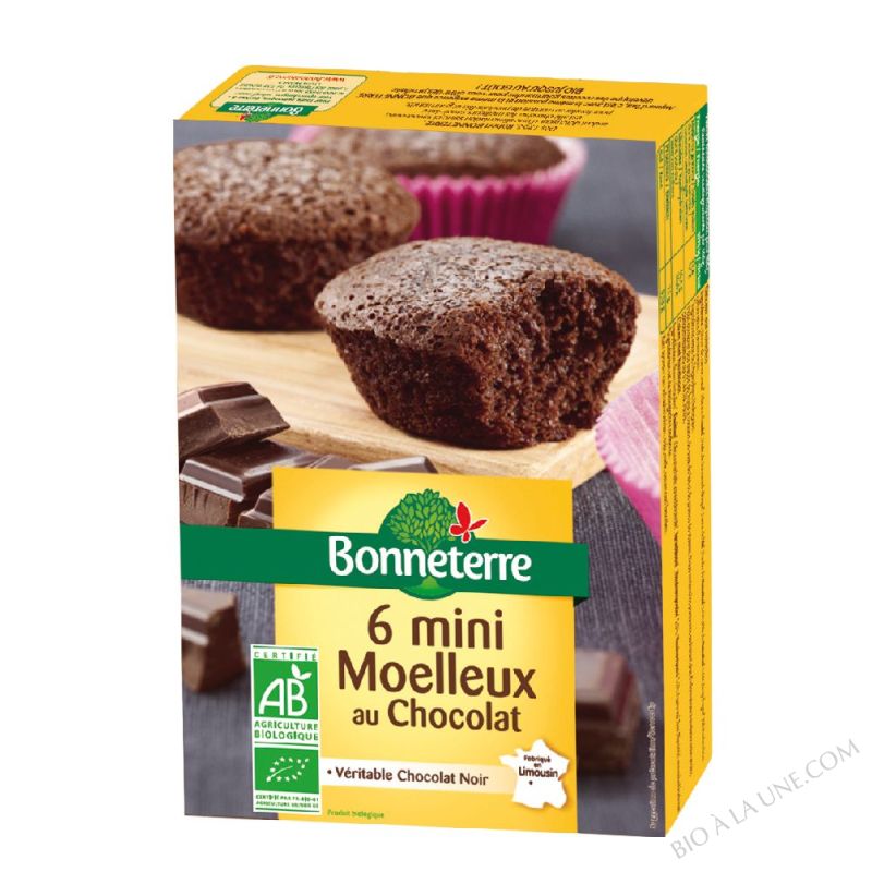 6 mini moelleux au chocolat