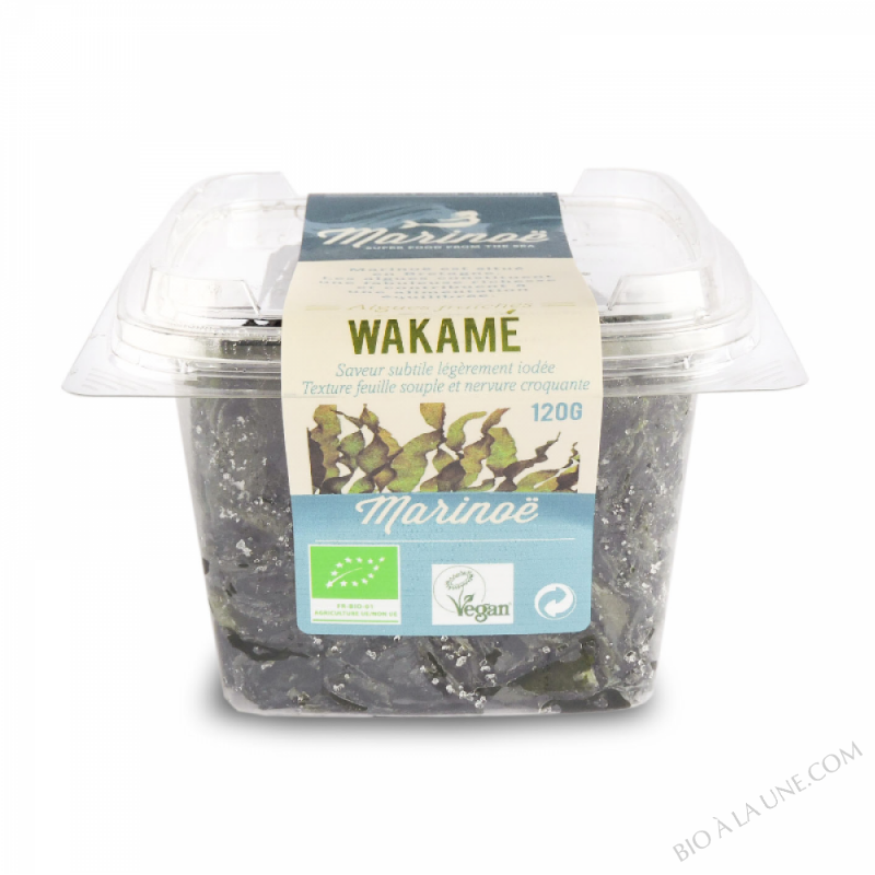 algues fraîches Wakame - Marinoë algues fraîches Wakame - Marinoë