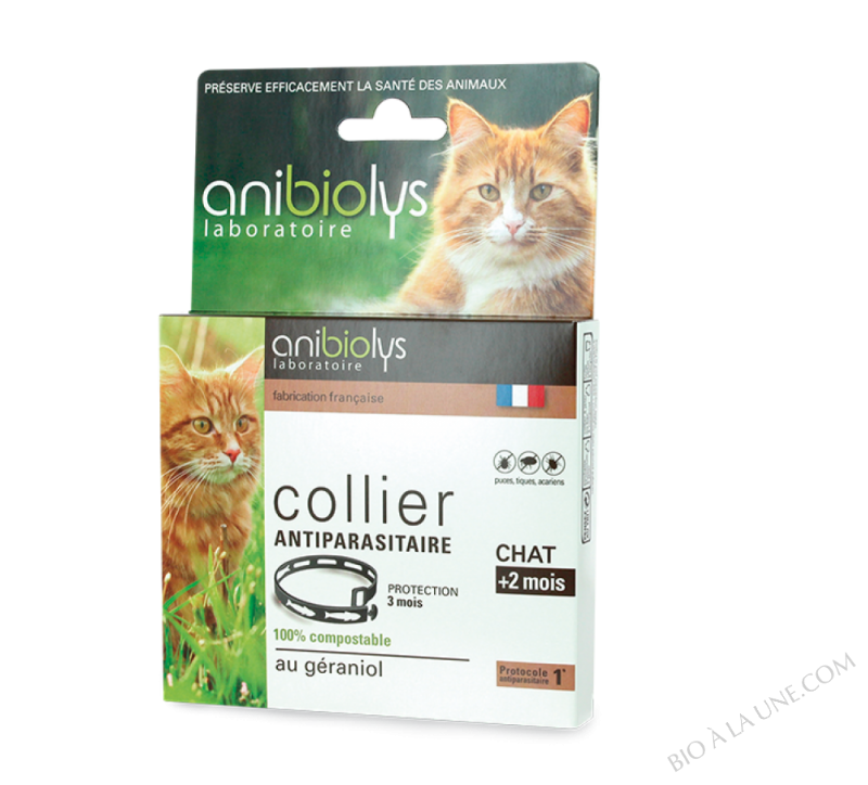 Collier antiparasitaire 35cm Chat