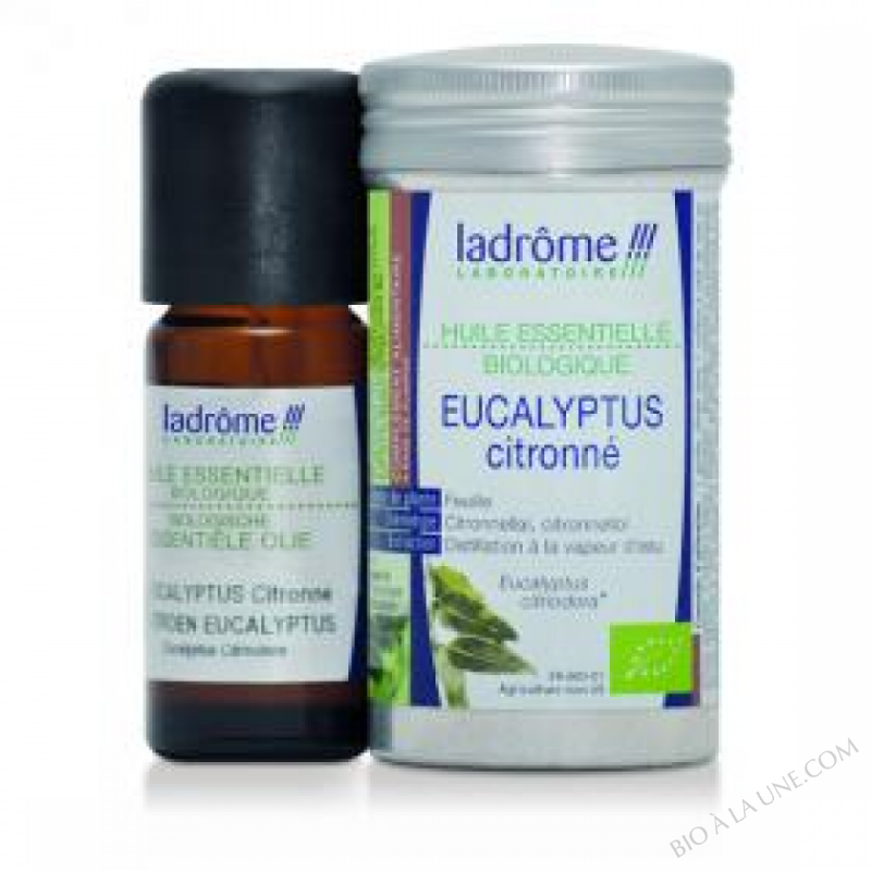Huile essentielle Eucalyptus Citronne 10ml