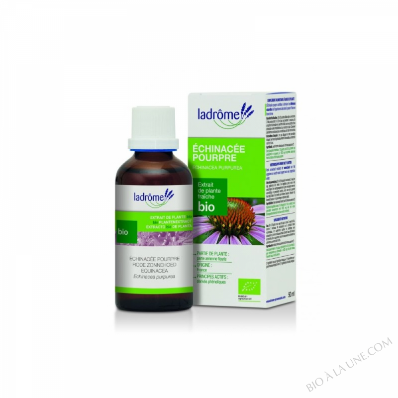 echinacée - 50 ml echinacée - 50 ml