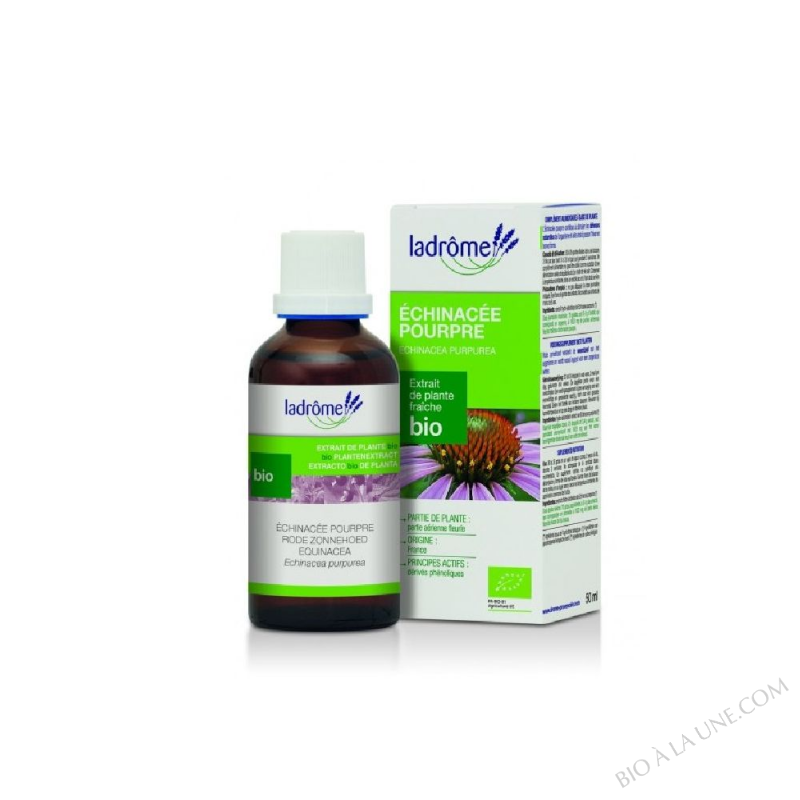 ECHINACEE EPF 50ML ECHINACEE EPF 50ML