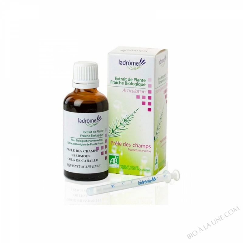 Plantes Fraîches PRELE DES CHAMPS 50ml Plantes Fraîches PRELE DES CHAMPS 50ml