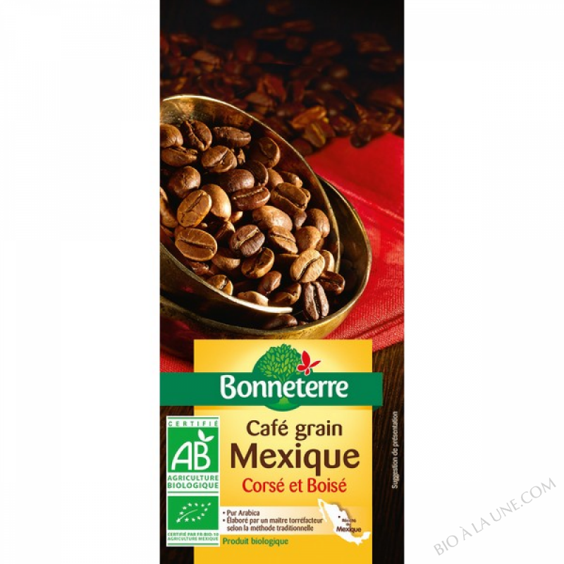 CAFE GRAINS MEXIQUE PUR ARABICA 250GR CAFE GRAINS MEXIQUE PUR ARABICA 250GR