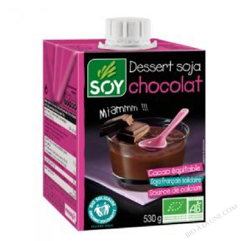 DESSERT SOJA CHOCOLAT SOY - 530g