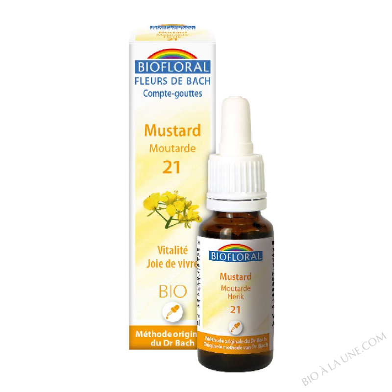 EF MOUTARDE 20ML