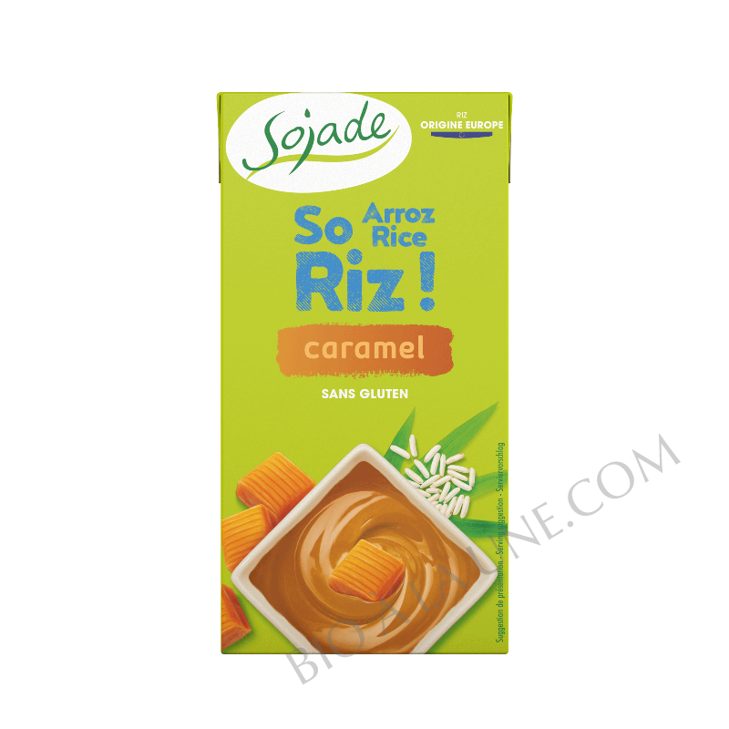 Sojade - Délice de Riz Dessert UHT Caramel 530g