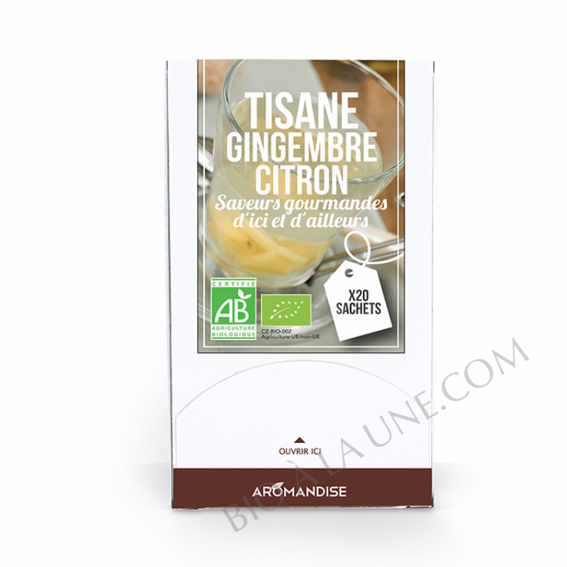 TISANE BIO GINGEMBRE CITRON AROMANDISE